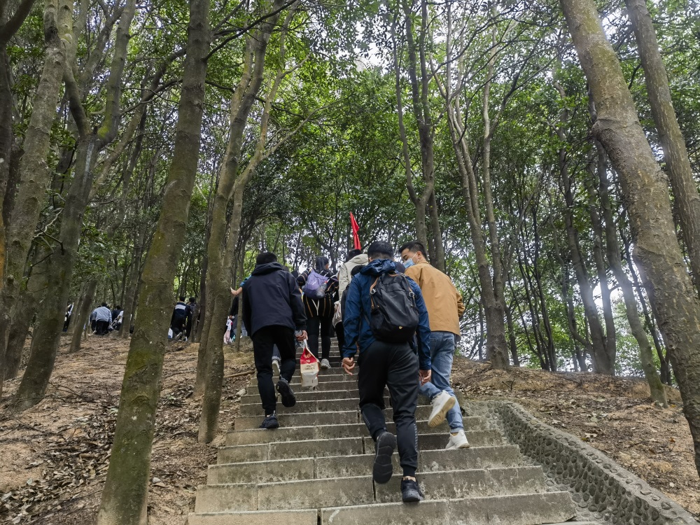 登高望遠，打卡“陽臺疊翠”