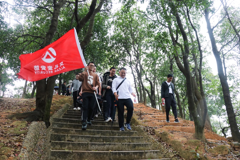 登高望遠，打卡“陽臺疊翠”